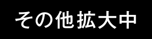 その他拡大中